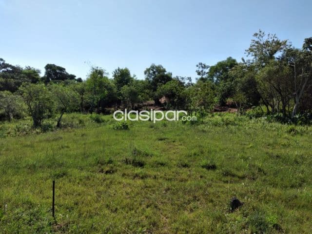 Terreno de 1 hectárea y media en Capiatá, foto 1