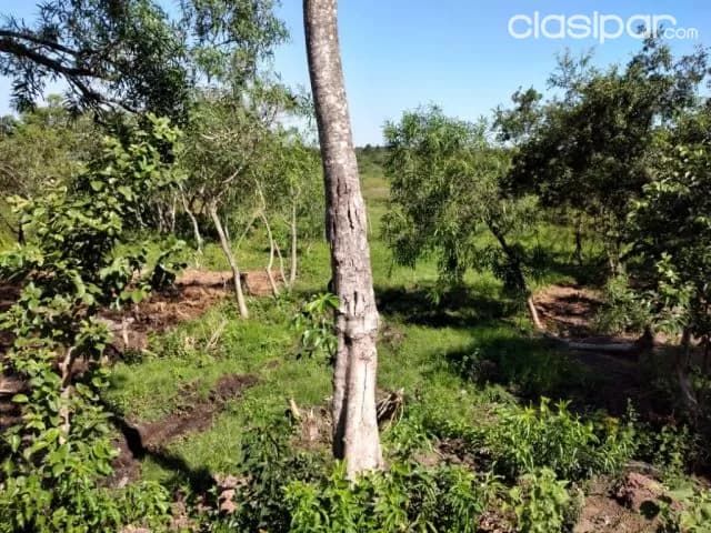 Terreno de 1 hectárea y media en Capiatá, foto 4
