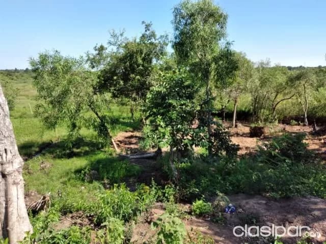 Terreno de 1 hectárea y media en Capiatá, foto 5