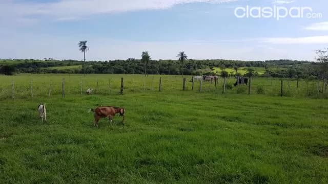 propiedad de 50 hectáreas, foto 4