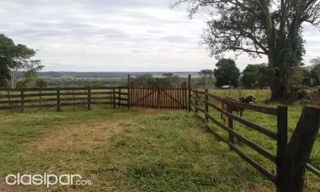 Cnel. Oviedo, caaguazú: Maravillosa estancia, 613 has, infraestructuras, pasturas, montes — foto 5