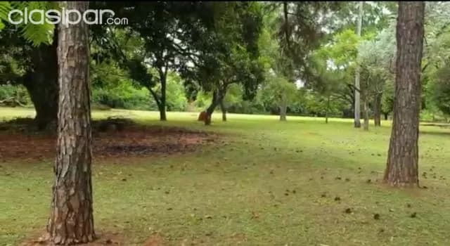 Itauguá (ruta aregua-patiño): 3,2 has inigualable, casa quinta en venta, 290.000 usd, foto 3