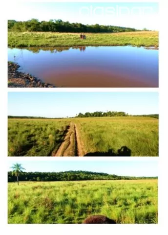 Itacurubí de la cordillera: 510 has, establecimiento agro-ganadero en funcionamiento, foto 4