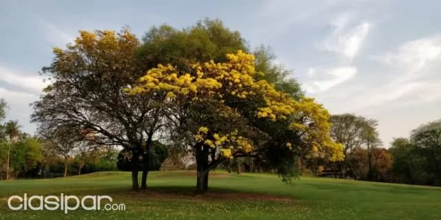 Lambaré, yacht y golf club: Soñada residencia, 4.800 m2 s/ campos de golf, 4 suites, foto 3