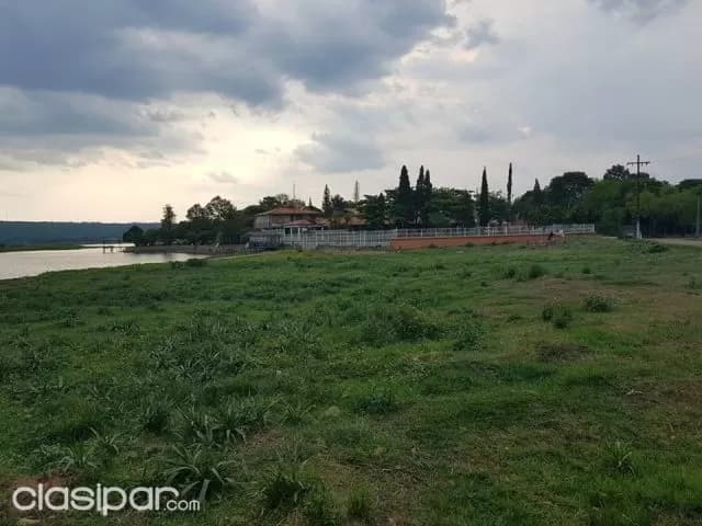 San Bernardino: 1.000 m2 s/ lago ypacaraí, imperdible oportunidad - 300.000 usd — foto 4