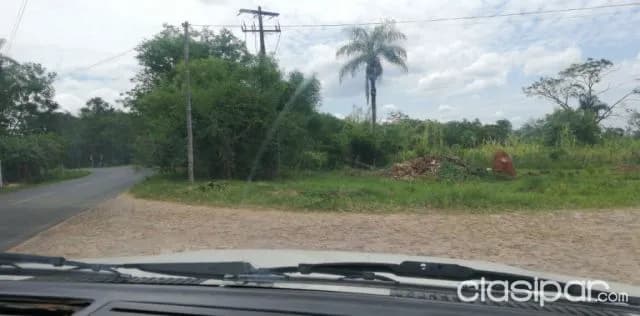 Limpio, prox frigomax (s/ asfalto): 6 has, p/ depósitos y desarrollos inmobiliarios, foto 4
