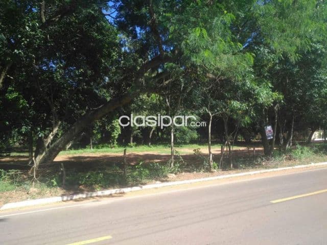 Luque, oportunidad: 2 hectáreas s/ asfalto, ideal p/ emprendimientos diversos — foto 1