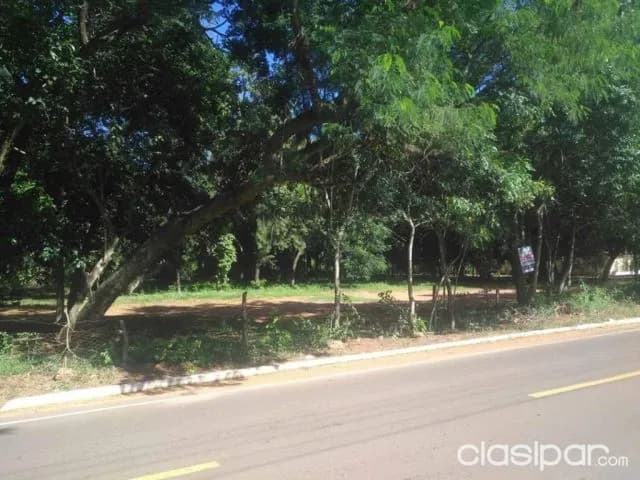 Luque, oportunidad: 2 hectáreas s/ asfalto, ideal p/ emprendimientos diversos — foto 2