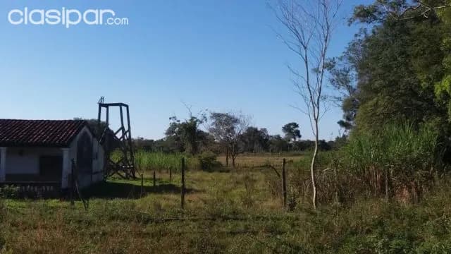Aregua, Luque: Granja formada, 7 has ideal p/pollería y crianza, foto 4