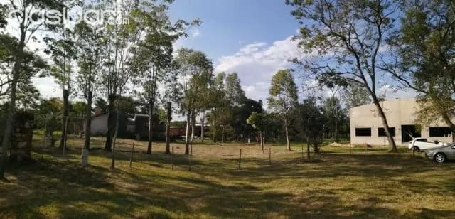 Aregua, Luque: Granja formada, 7 has ideal p/pollería y crianza, foto 5