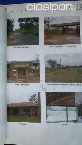 Capiata, aregua: 40 has (fraccionables) ideales p/ loteamientos, granjas, criaderos, etc, foto 2