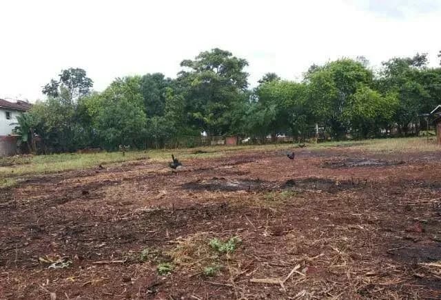 Propiedad de 1 hectárea en foz de yguazu cod 2863, foto 2
