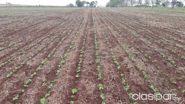 Oferta!!! Lindo Terreno ZONA MISIONES, foto 4