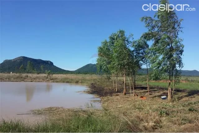 HERMOSO TERRENO 5 Has Ruta Pararaguari -Villarrica 850,000,000 ₲ — foto 2