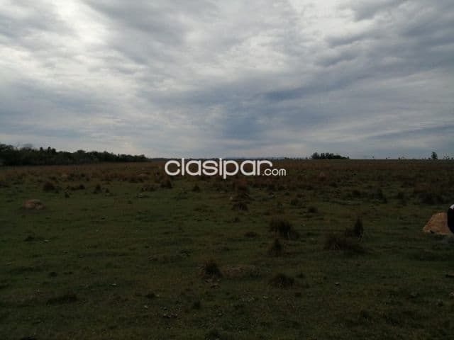 Propiedad de 142 hectáreas en san jose de los arroyos cod 2456
