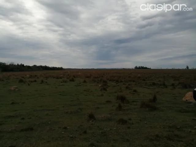 Propiedad de 142 hectáreas en san jose de los arroyos cod 2456, foto 2