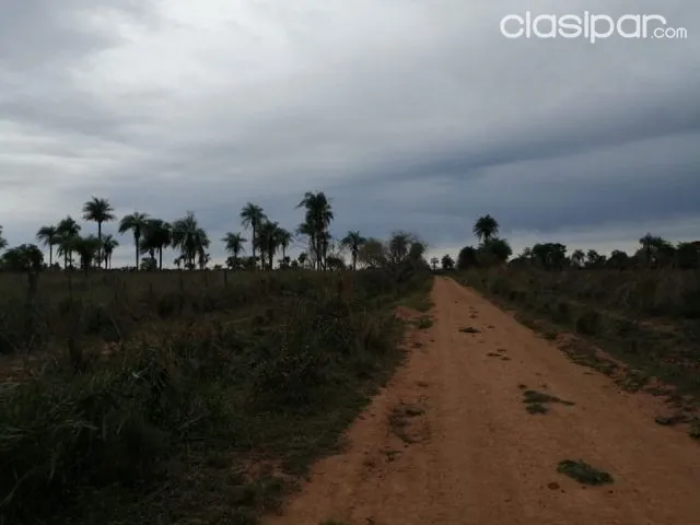Propiedad de 142 hectáreas en san jose de los arroyos cod 2456, foto 3