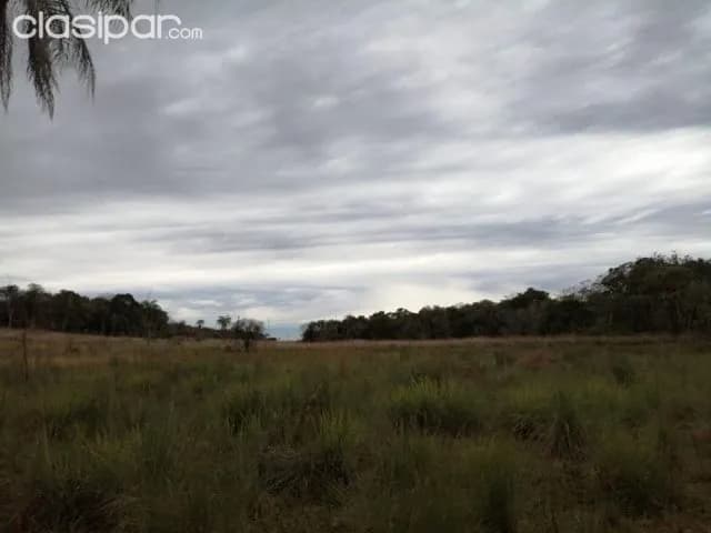 Propiedad de 142 hectáreas en san jose de los arroyos cod 2456, foto 4