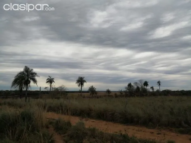 Propiedad de 142 hectáreas en san jose de los arroyos cod 2456, foto 5