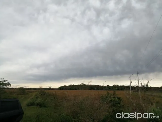 Propiedad de 43 hectáreas en san jose de los arroyos cod 2457 — foto 2