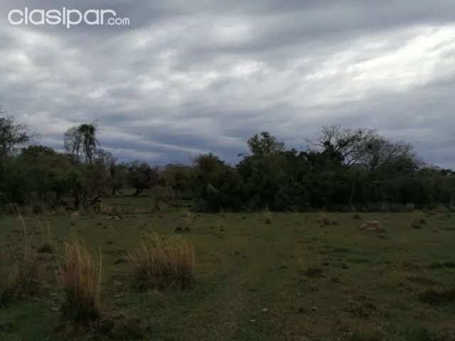 Propiedad de 43 hectáreas en san jose de los arroyos cod 2457 — foto 3