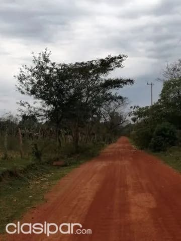 Propiedad de 43 hectáreas en san jose de los arroyos cod 2457 — foto 5