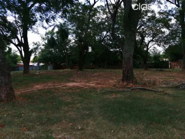 Luque – maramburé: 37.500 m2 ideales p/ desarrollos inmobiliarios — foto 5