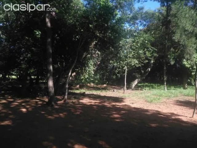 Luque / maramburé: 2 has s/ ruta, imperdible oportunidad p/ desarrollos inmobiliarios — foto 3