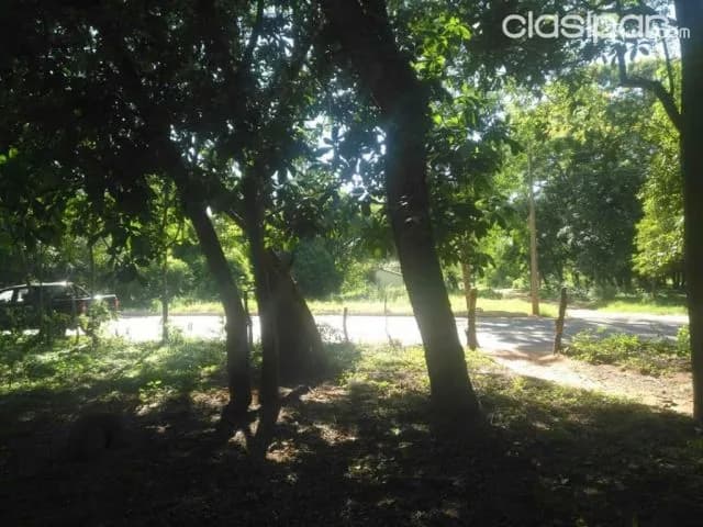 Luque / maramburé: 2 has s/ ruta, imperdible oportunidad p/ desarrollos inmobiliarios — foto 5