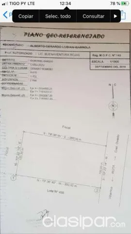 Cnel oviedo – villarrica: 2 hectáreas, oportunidad única p/ desarrollos comerciales, etc — foto 5