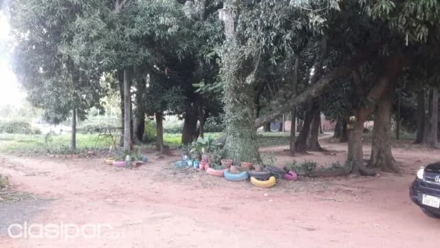 Ruta ypacaraí – aregua: 11.065m2, ideal p/ emprendimientos inmobiliarios, industriales, foto 2