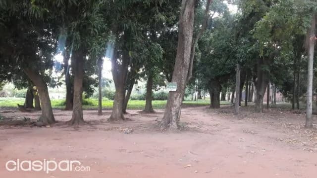 Ruta ypacaraí – aregua: 11.065m2, ideal p/ emprendimientos inmobiliarios, industriales, foto 4