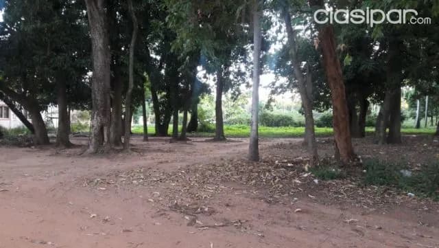 Ruta ypacaraí – aregua: 11.065m2, ideal p/ emprendimientos inmobiliarios, industriales, foto 5