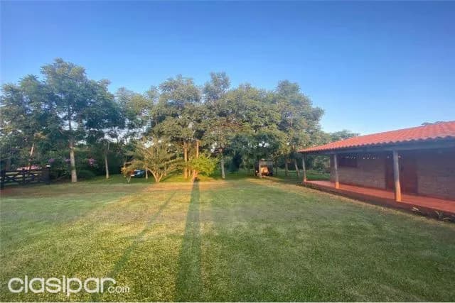 Campo granja 37.5 hectareas itapua 250,000 usd, foto 2