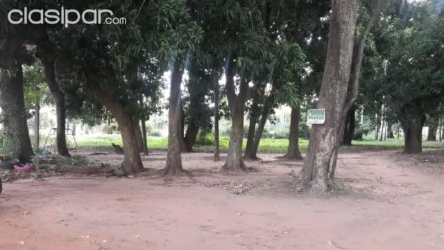 Ypacaraí – aregua: 11.000 m2 ideales p/ emprendimientos inmobiliarios, industriales — foto 4