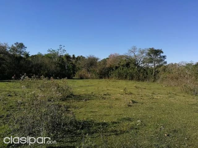 Isla villa areguá: Maravillosas 30 hectáreas en venta -130.000.000 gs / ha, foto 4