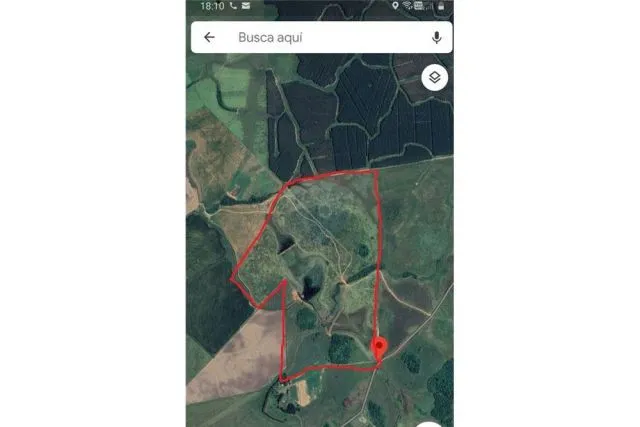 Campo de 85 has en Coronel Bogado!! — foto 2