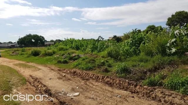 Terreno en venta en Mariano R Alonso — foto 3