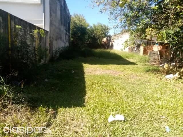 Terreno en Luque zona supermercado los jardines cod 2966 precio: 2.000.000 gs — foto 3