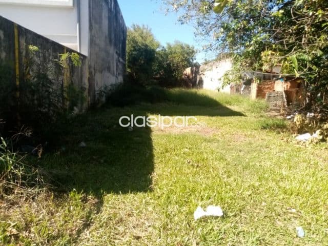 Terreno en Luque zona supermercado los jardines cod 2966 — foto principal