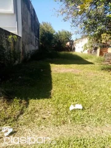 Terreno en Luque zona supermercado los jardines cod 2966 — foto 3