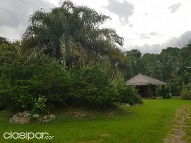 Nueva colombia – cordillera: Oferta casa quinta + bosques + arroyos + 3 casas –oportunidad — foto 2