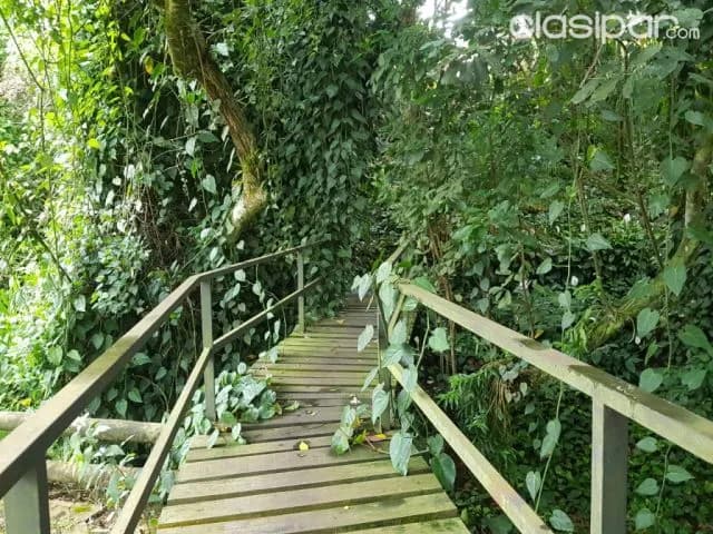Nueva colombia – cordillera: Oferta casa quinta + bosques + arroyos + 3 casas –oportunidad — foto 4