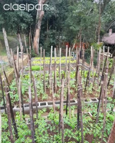 Nva colombia / cordillera: Un paraíso en oferta, bosques c/ orquídeas, manantiales, arroyo, foto 5