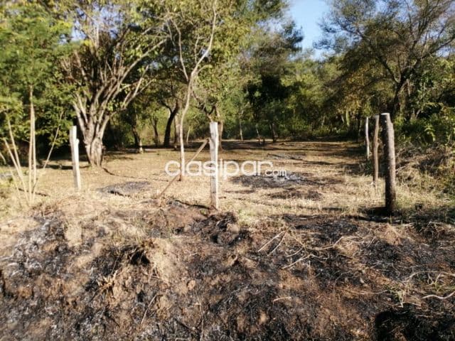 terreno en la ciudad de limpio, foto 1