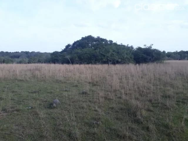 Emboscada – cordillera: 12 hectáreas ideales p/ loteamientos, 130.000.000 gs / ha — foto 4
