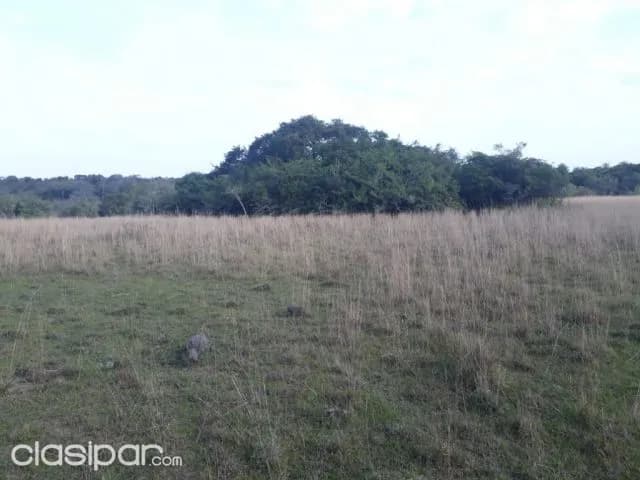 Emboscada – cordillera: 12 hectáreas ideales p/ loteamientos, 130.000.000 gs / ha — foto 5