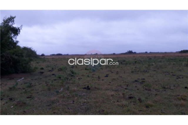 Campo 300,000 usd, foto 1