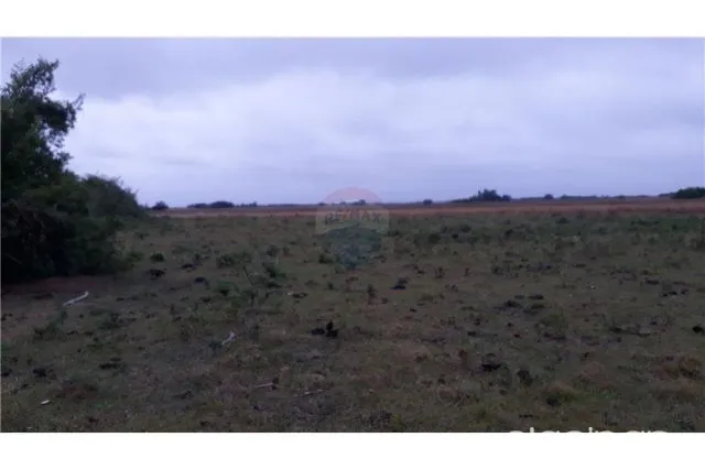 Campo 300,000 usd, foto 2