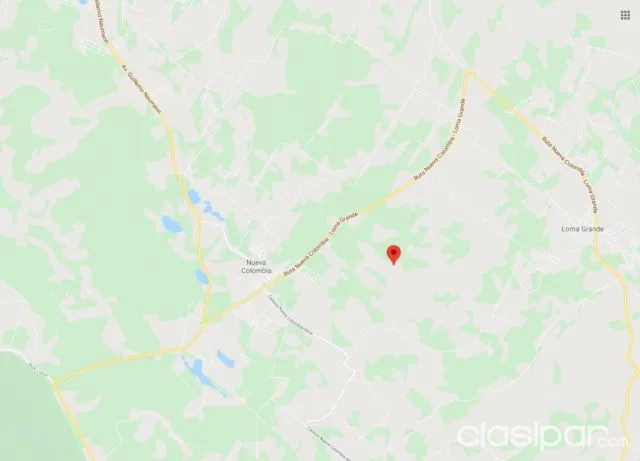 Nueva colombia – cordillera: 102 has de campo, a 37 km de Asunción, 65.000.000 gs / ha — foto 3